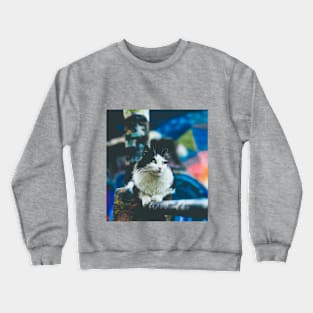 Cat Blue Crewneck Sweatshirt